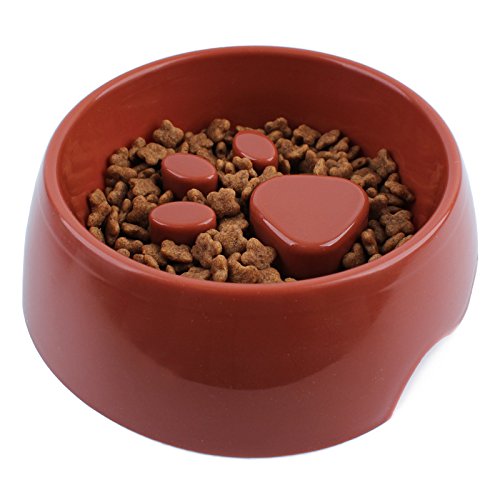 Quesuc comedero antivoracidad perro, Huellas de mascotas cuenco para lento perros, Evita la obesidad y los vómitos, Se puede utilizar en el lavavajillas, Apto para perros pequeños y medianos (960 ml) Quesuc comedero antivoracidad perro, Huellas de mascotas cuenco para lento perros, Evita la obesidad y los vómitos, Se puede utilizar en el lavavajillas, Apto para perros pequeños y medianos (960 ml)