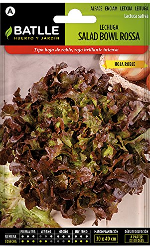 Semillas Hortícolas - Lechuga Salad Bowl Roja - Batlle