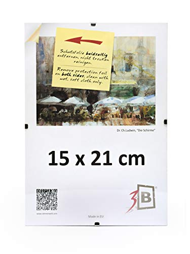 3-B CLIP FRAME - 15 x 21 cm (A5) (ca. 6 x 8) portafotos sin marco con vidrio de poliéster (hoja de plástico)