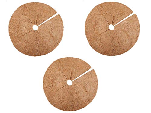 Æ— 3 Piezas Coco Fibra de Mantillo Anillo Árbol Protector Alfombrilla 11.8 Inch Natural Protección Hierbas Alfombras Tiesto Disco Planta Cubierta, Alfombras, Macetero Æ— 3 Piezas Coco Fibra de Mantillo Anillo Árbol Protector Alfombrilla 11.8 Inch Natural Protección Hierbas Alfombras Tiesto Disco Planta Cubierta, Alfombras, Macetero