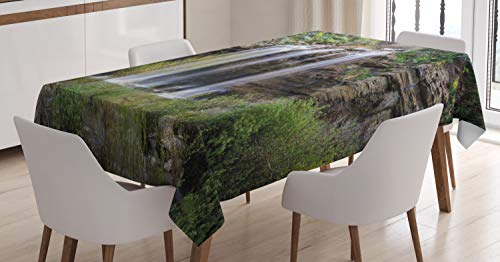 ABAKUHAUS Naturaleza Mantele, Cascada del Bosque Sicilia, Estampado con la Última Tecnología Lavable Colores Firmes, 140 x 200 cm, Marrón Verde Blanco