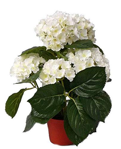 artplants.de Set de 2 x Hortensia Artificial TEMARI, 205 Flores, Crema, 35cm, Ø 30cm - Pack de macetas de Hortensia - Lote de Flores en Tiesto