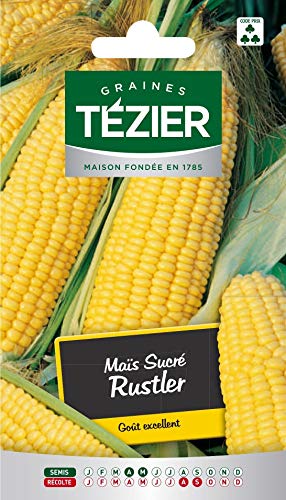 bolsa de semillas Rustler maíz dulce Tezier