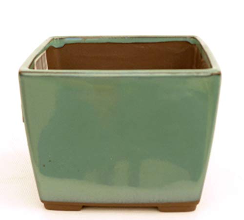 Bonsai Pavia | Macetas para Bonsais Japonesa Cuadrada 11,5 cm | con Esmalte Color Azul Verde | Tamaño 11,5x11,5x9 cm