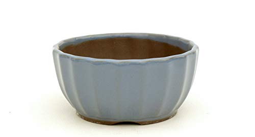 Bonsai Pavia | Macetas para Bonsais Japonesa Esmaltada 12,5 cm | con Forma de Flor de Loto | Esmaltada en Color Azul Celeste | Tamaño 12,5x7 cm