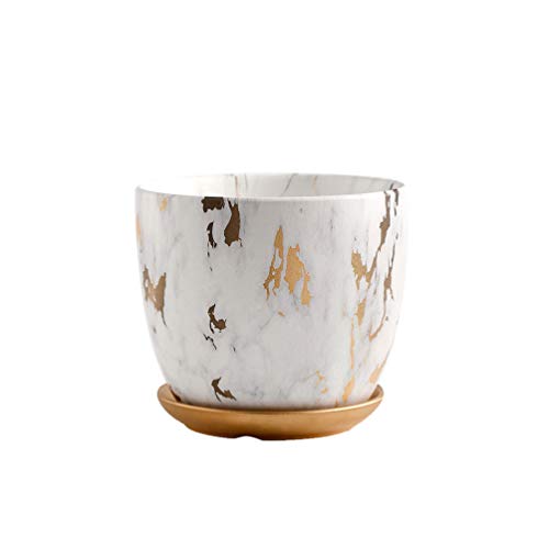 Garneck Modernos Maceteros de Cerámica Brillan Marmoleado Jardinería Ovalada Macetas Bonsai Suministro con Drenaje para Patio Jardín Centro Comercial Oficina Hogar (14X14x13cm) Garneck Modernos Maceteros de Cerámica Brillan Marmoleado Jardinería Ovalada Macetas Bonsai Suministro con Drenaje para Patio Jardín Centro Comercial Oficina Hogar (14X14x13cm)