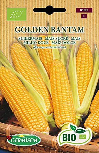 Germisem Orgánica Golden Bantam Semillas de Maíz Dulce 7 g