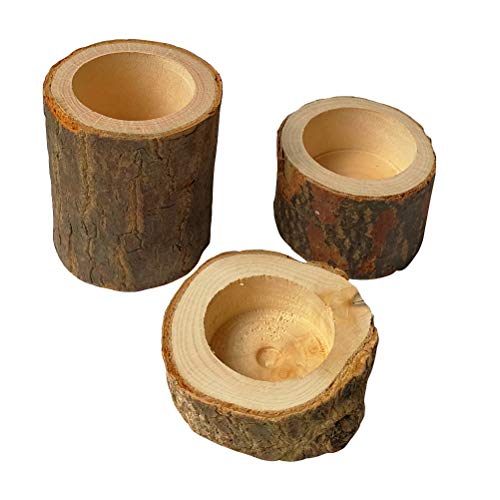 HEALLILY - Maceta de madera para plantas grasas y suculentas, 6 unidades