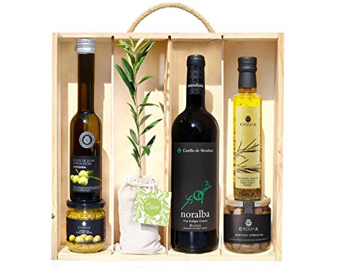 Lote Gourmet Regalo Terra con árbol olivo natural para plantar, botella de vino tinto, aceitunas, AOVE, aceite condimentado y crema para untar
