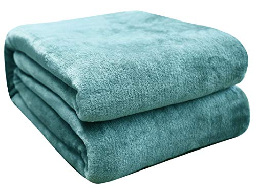 Manta de Microfibra Color sólido, Mantas para Sofás, Suave, Microfibre Extra Suave, Multifuncional para sofá, Cama, Viajes, Viajes, Adultos, niños, Animales, Verde 130 X 160 cm Manta de Microfibra Color sólido, Mantas para Sofás, Suave, Microfibre Extra Suave, Multifuncional para sofá, Cama, Viajes, Viajes, Adultos, niños, Animales, Verde 130 X 160 cm