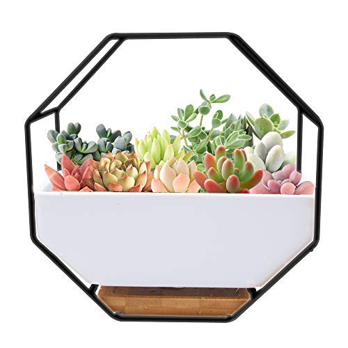O'woda Macetas Colgantes de Cerámica, Metal Macetas Pared, con Orificio de Drenaje y Plato de Bambú, Decoración para Casa, Jardin, Sala de Estar y Boda (17.7 * 17.7cm,Negro) O'woda Macetas Colgantes de Cerámica, Metal Macetas Pared, con Orificio de Drenaje y Plato de Bambú, Decoración para Casa, Jardin, Sala de Estar y Boda (17.7 * 17.7cm,Negro)