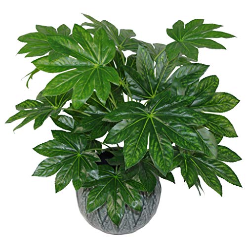 Planta Artificial Japonesa de aralia de Hoja de 60 cm, Maceta de plástico Negra