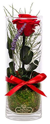 Rosen-Te-Amo Rosa eterna roja perfumada con Tallo en Maceta con Caja de Regalo refinada. Arreglo de Flores preservadas Hecho a Mano con follaje 100% Natural: San Valentin Regalos o Decoracion hogar Rosen-Te-Amo Rosa eterna roja perfumada con Tallo en Maceta con Caja de Regalo refinada. Arreglo de Flores preservadas Hecho a Mano con follaje 100% Natural: San Valentin Regalos o Decoracion hogar