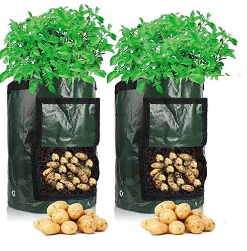Bolsas para Cultivo de Patatas, 70 l (10 galones), 35 x 45 cm, Bolsas para macetas con Ventana abatible y asa, hortalizas de Cultivo: Patata, Zanahoria, Tomate, Cebolla (Paquete de 2)