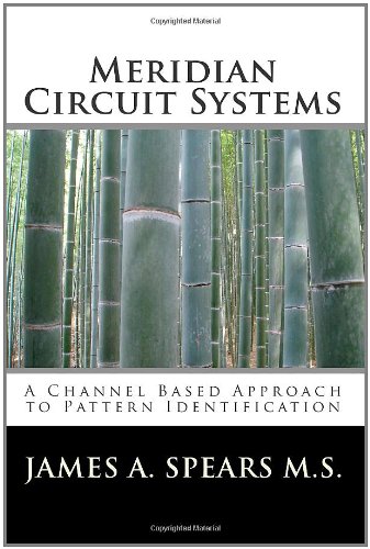 Meridian Circuit Systems: A Channel Based Approach to Pattern Identification: Volume 1