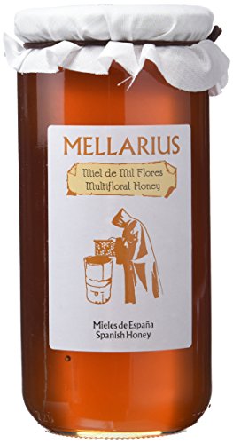 Miel de Mil Flores Mellarius 970 g