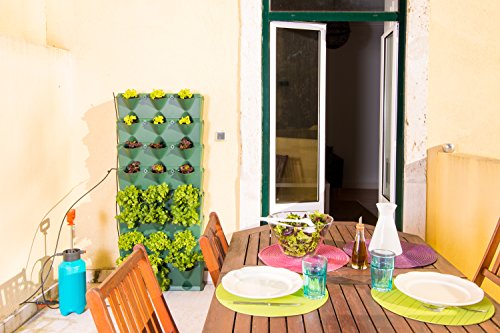 minigarden Vertical Kitchen Garden para 24 Plantas, Jardín Vertical Modular y Extensible, Incluye el Kit de Riego por Goteo, Colocar en el Suelo o Colgar en la Pared (Verde)
