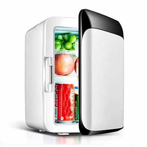 QIHANGCHEPIN Refrigerador del Coche de 10 L Refrigerador del refrigerador de 220V / 12v Mini Refrigerador del Coche de Dual Uso de la casa