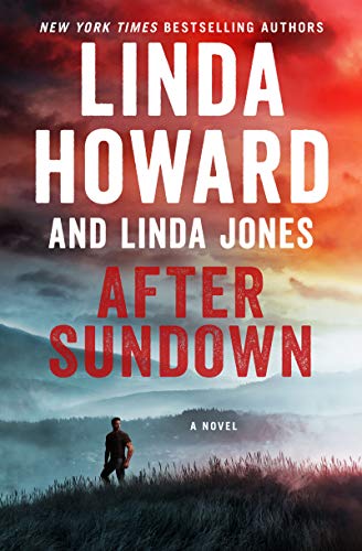 After Sundown: A Novel (English Edition)