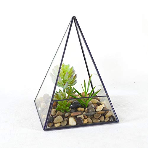 Cristal Moderno Pirámide metálica Vertical de Cristal geométrica terrario for el hogar y la Boda de decoración de Interior y Exterior geométrico de Envases de Vidrio Caja de Mesa Cristal Moderno Pirámide metálica Vertical de Cristal geométrica terrario for el hogar y la Boda de decoración de Interior y Exterior geométrico de Envases de Vidrio Caja de Mesa