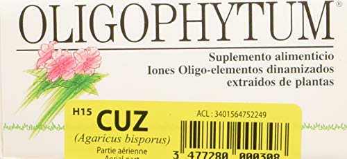 Holistica Oligophytum Zinc Cobre - 100 gr