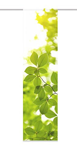 Home Fashion 87505 – 768 – Estor con impresión Digital Leaf, Tela Decorativa (245 x 60 cm, imitación de Seda, Color Verde
