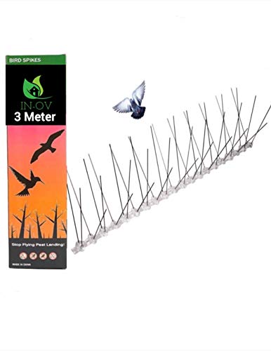 Kit de 3 metros repelente de pájaros, Púas de acero inoxidable para pájaros, Pinchos Antipalomas, Cubre 3 metros.