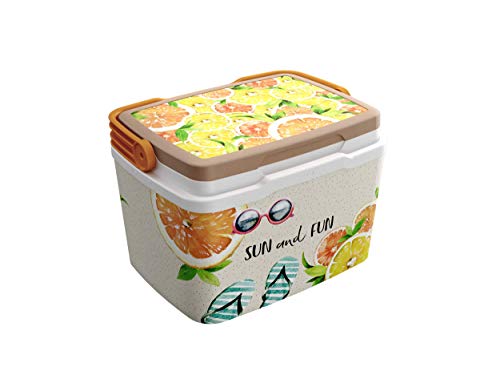 Life Story Nevera Rigida 6L Life Story Nevera Rigida 6L