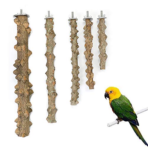 Perchas Naturales para Pájaros, 5 Piezas Perchas Naturales de Aves, Perchas de Loros Naturales, Pájaro Soporte de Madera Natural, para Accesorios de Percha de Jaula de Pájaros para Loros (10-30 cm)