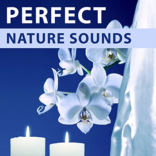 Perfect Nature Sounds – Sounds of Nature for Spa, Background Music for Wellness,, Serenity Nature, Healing Relaxation