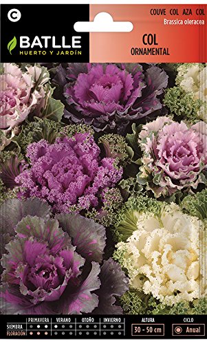 Semillas Hortícolas - Col ornamental variada - Batlle Semillas Hortícolas - Col ornamental variada - Batlle