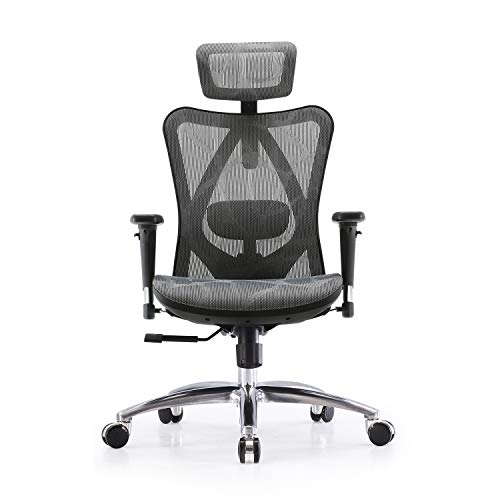 SIHOO Silla de Oficina Ergonómica, Silla de Escritorio, Respaldo Alto, Transpirable, Silla de Malla, con Reposabrazos 3D y Soporte Lumbar Ajustables(Gris) SIHOO Silla de Oficina Ergonómica, Silla de Escritorio, Respaldo Alto, Transpirable, Silla de Malla, con Reposabrazos 3D y Soporte Lumbar Ajustables(Gris)