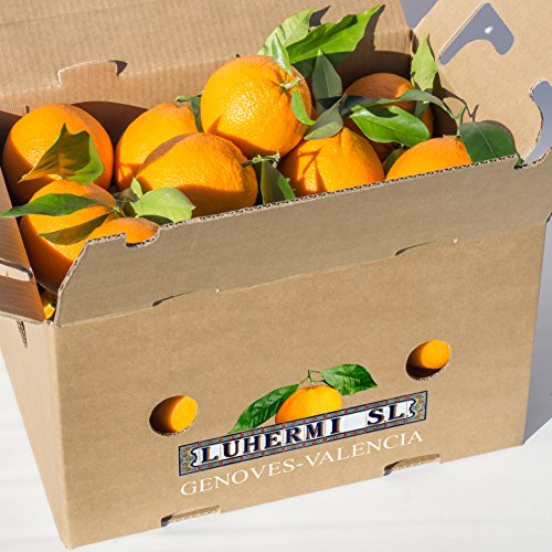 10 KG ⎜Caja de Naranjas de Zumo ⎜De Valencia ⎜Dulces y Maduras