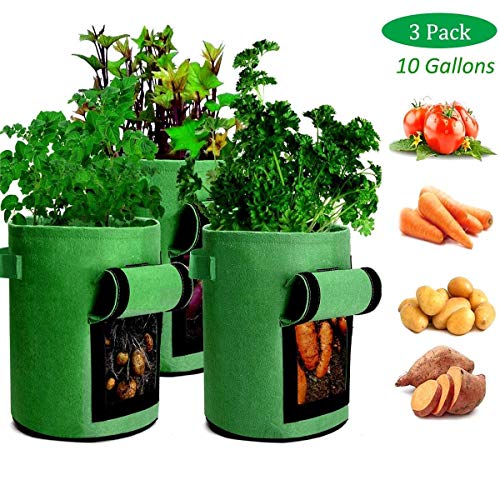 3 Pack Patata Bolsas de Crecimiento de 10 galones, plantador Vegetal Bolsas con Solapa y manijas no Tejida jardín de plantación Bolsa de Verduras Tomate Zanahoria Cebolla (Verde)