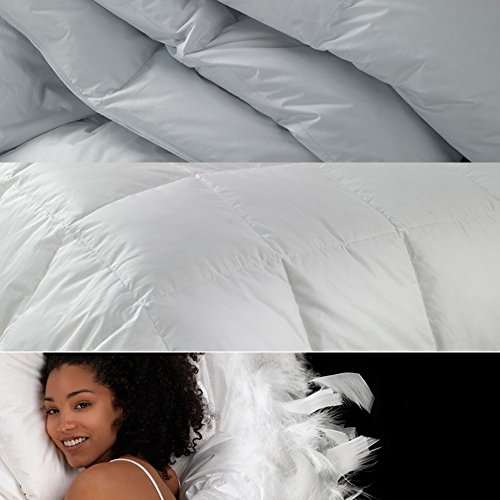 duvedecor Relleno Nórdico Premium 140 Cama 150 (240x220) 98% Duvet Blanco duvedecor Relleno Nórdico Premium 140 Cama 150 (240x220) 98% Duvet Blanco