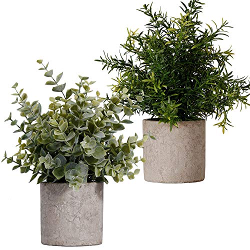 FagusHome Plantas Artificiales en Macetas 2 Piezas Mini Plantas de Eucalipto Rosemary Plants Artificiales en Macetas Plástico para Decoración (A)