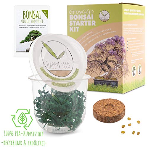 GROW2GO Bonsai Kit incl. eBook GRATUITO - Set con mini invernadero, semillas y tierra - idea de regalo sostenible para los amantes de las plantas (Wisteria)