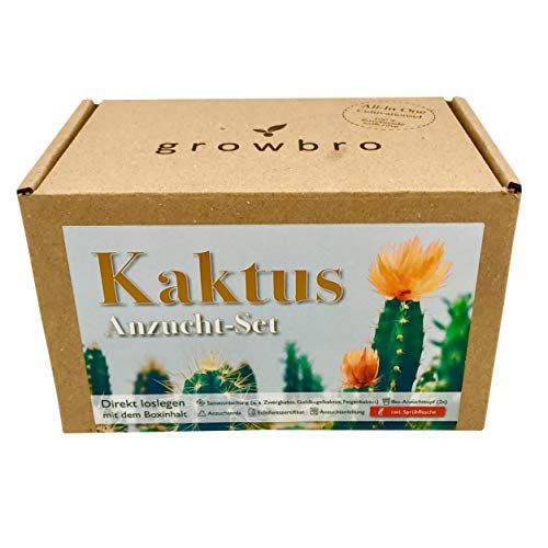 Growbro - Cactus, incluye botella pulverizadora, regalo de cumpleaños, plantas suculentas, regalos para mujeres y hombres, regalo para invitados, plantas de interior, cactus, cactus