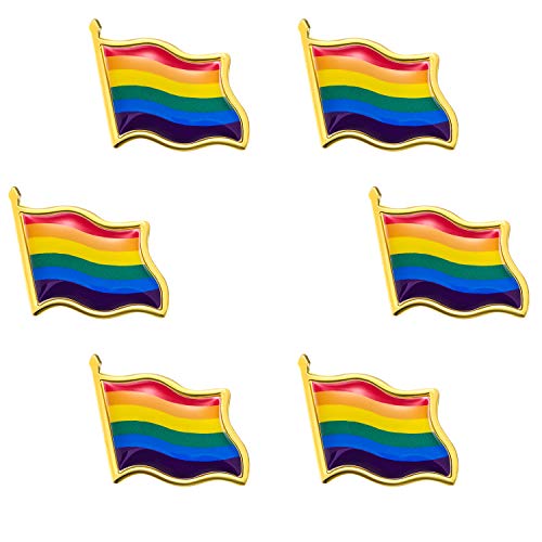 Hicarer 6 Paquetes Pin del Orgullo Gay Pin Arcoiris Pin de Ondulado Bandera Insignias LGBT Pin de Solapa Regalo Broche de Metal Bandera Arcoiris para Regalo Coleccionable Novedad de LGBT