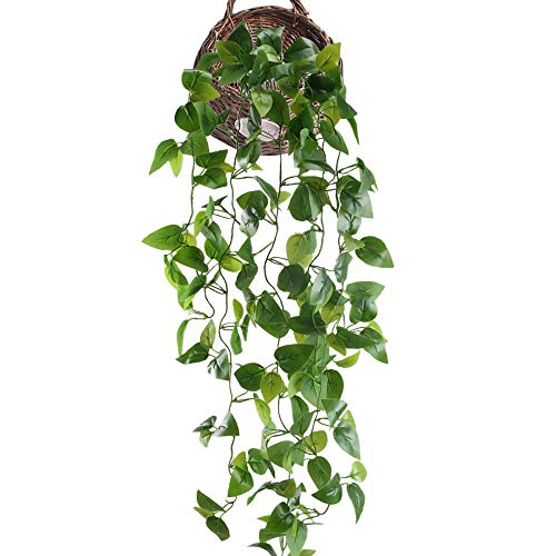HUAESIN Enredaderas Artificiales para Exterior e Interior Verde Plantas Hiedra Artificial Colgante Falsa Hojas Guirnlada Enredadera Plastico para Jardin Baño Trepadora Potos Maceta Pared Navidad HUAESIN Enredaderas Artificiales para Exterior e Interior Verde Plantas Hiedra Artificial Colgante Falsa Hojas Guirnlada Enredadera Plastico para Jardin Baño Trepadora Potos Maceta Pared Navidad