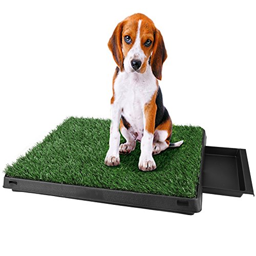 Inodoro para Mascotas Perro Césped Interior Orinal Perro Almohadilla de Entrenamiento de Hierba para Animal Doméstico(63 x 50 x 7 cm) Inodoro para Mascotas Perro Césped Interior Orinal Perro Almohadilla de Entrenamiento de Hierba para Animal Doméstico(63 x 50 x 7 cm)