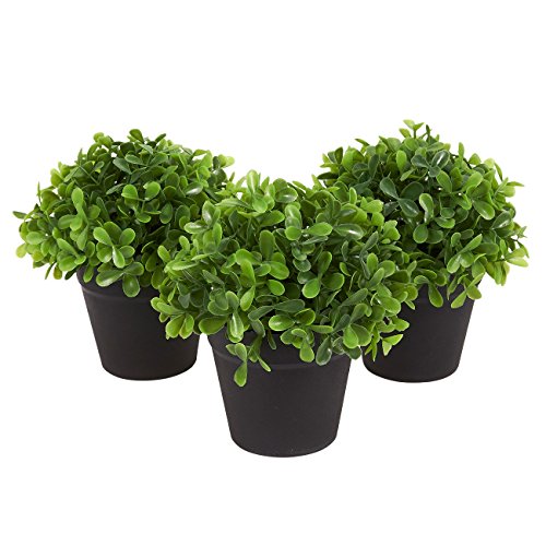 Juvale Planta Artificial decoración (Juego de 3) - casa de Las Plantas Artificiales de Interior decoración - 5 x 5,2 x 5 Pulgadas Juvale Planta Artificial decoración (Juego de 3) - casa de Las Plantas Artificiales de Interior decoración - 5 x 5,2 x 5 Pulgadas
