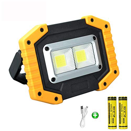 longdafei Luz de Inundación Recargable, 30W Foco LED Proyector Focos para Acampar con USB a Prueba de Agua para Acampar al Aire Libre y Luces de Seguridad para Pesca