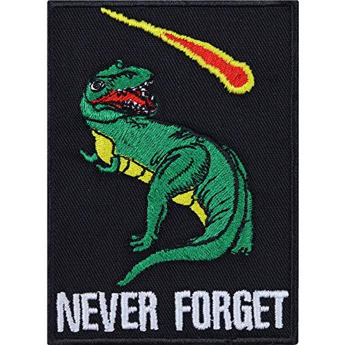 Never Forget Parche de dinosaurio, hipster, insignia, motivación, pegatina, motivación, divertido, plancha, patrón, blogger, regalo, para manualidades, camisa/chaqueta/bolsa, 90 x 65 mm