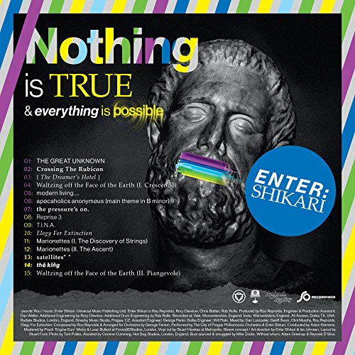 Nothing is true & everything is possible [Vinilo]