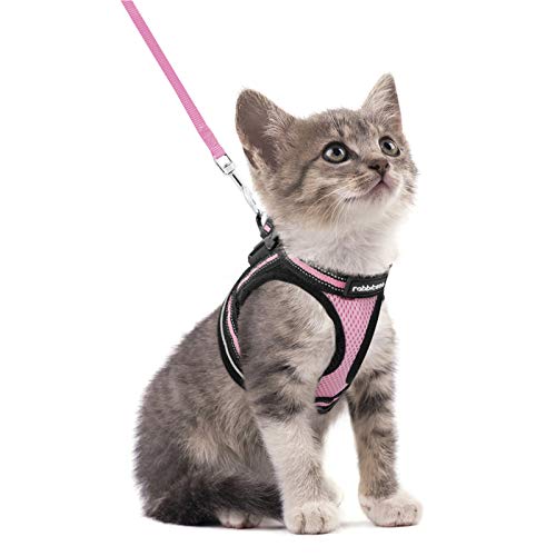 rabbitgoo Arnes Gatos y Correa 150cm Chaleco Ajustable Antitirones Reflectante Cómodo Correa Mágica para Fácil de Poner y Quitar para Paseo Diario Arnes para Perro Pequeño Conejos Gatos S Rosado