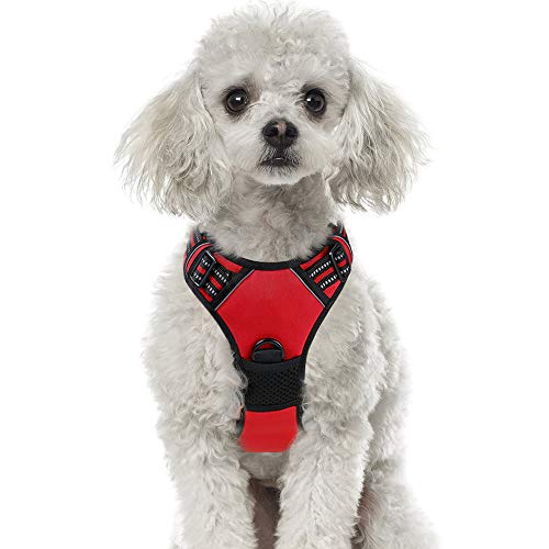 rabbitgoo Arnés Rojo Perros Arnés Antitirones Perro Mediano Arnés Mediano para Mascotas Fácil de Poner Hebillas Resistentes Correas AjustablesTamaño M rabbitgoo Arnés Rojo Perros Arnés Antitirones Perro Mediano Arnés Mediano para Mascotas Fácil de Poner Hebillas Resistentes Correas AjustablesTamaño M