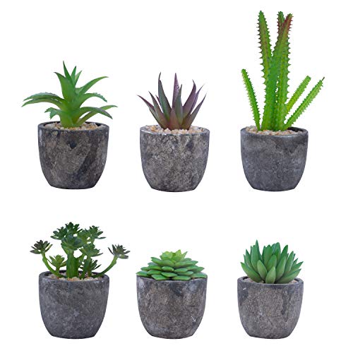 BELLE VOUS Set de 6 Mini Plantas Artificiales Suculentas Plantas Decorativas Falsas con Macetas, Planta Artificial Decorativa Ideal para el Hogar, Oficina, Lavabo, Decoración de Mesa y Bodas