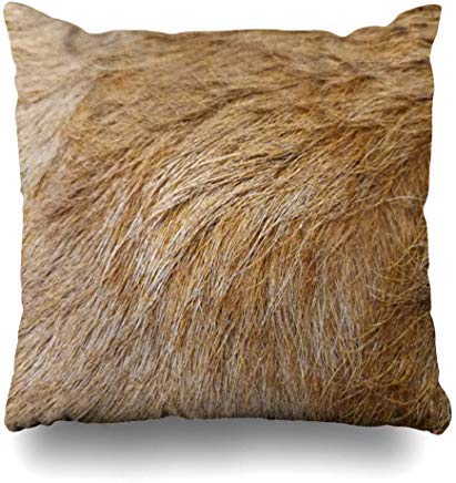 GFGKKGJFD424 - Funda de cojín de Piel de Vaca de Color marrón de 45 cm x 45 cm para Sala de Estar, sofá, Funda de Almohada con Cremallera