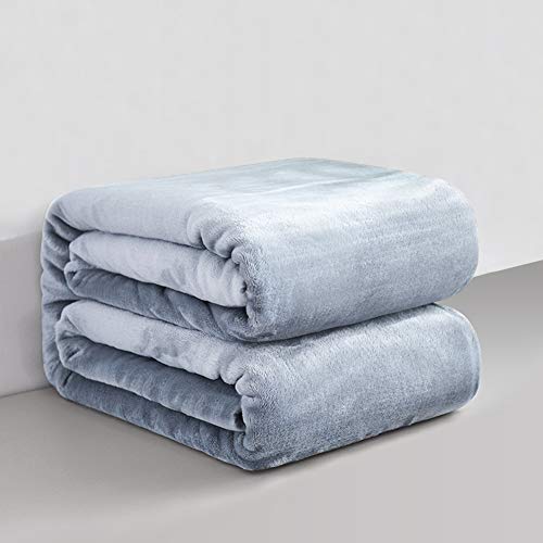RATEL Mantas para Cama Gris Claro 230 × 270 cm, Mantas para Sofa de Franela Reversible, Mantas Ligeras de 100% Microfibra - Fácil De Limpiar - Extra Suave Cálido RATEL Mantas para Cama Gris Claro 230 × 270 cm, Mantas para Sofa de Franela Reversible, Mantas Ligeras de 100% Microfibra - Fácil De Limpiar - Extra Suave Cálido